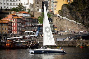Tour privato in barca del Douro di 2 ore